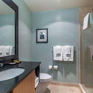 Executive Economy Queen Room Adults Only No Pets